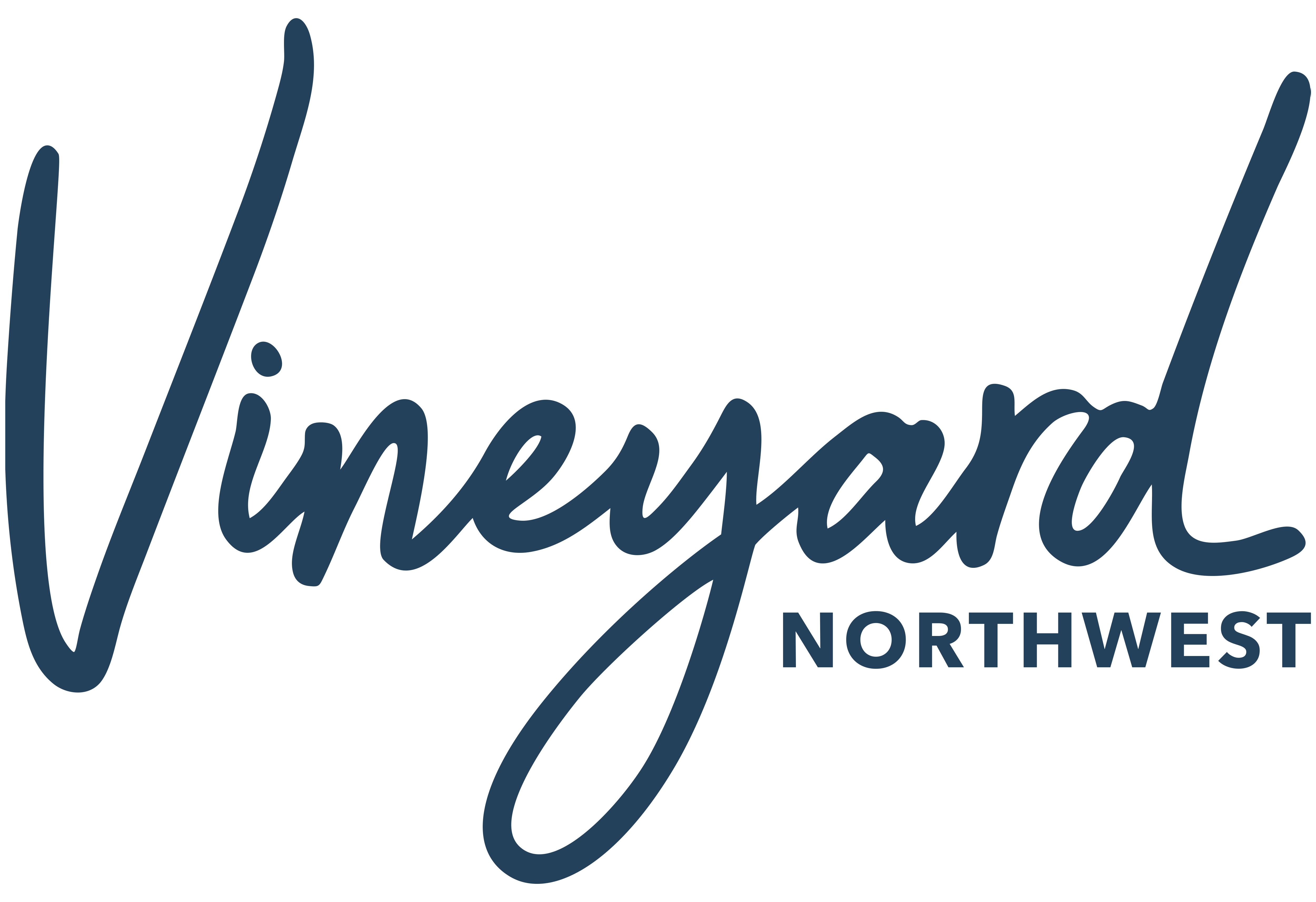 Vineyard Church Northwest Brushfire